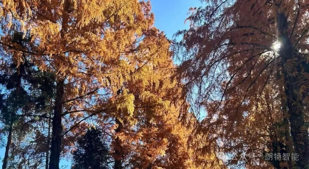 井冈山1.png 井冈山1.png